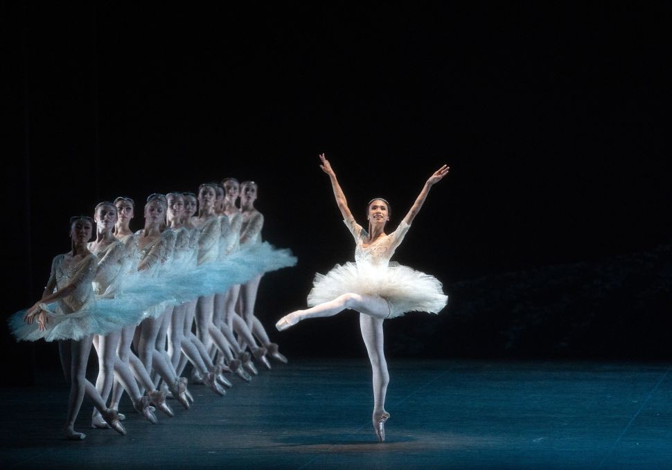 A ballerina in a white tutu performs a solo pose at center stage while a line of dancers in matching costumes stands behind her in formation under soft stage lighting.