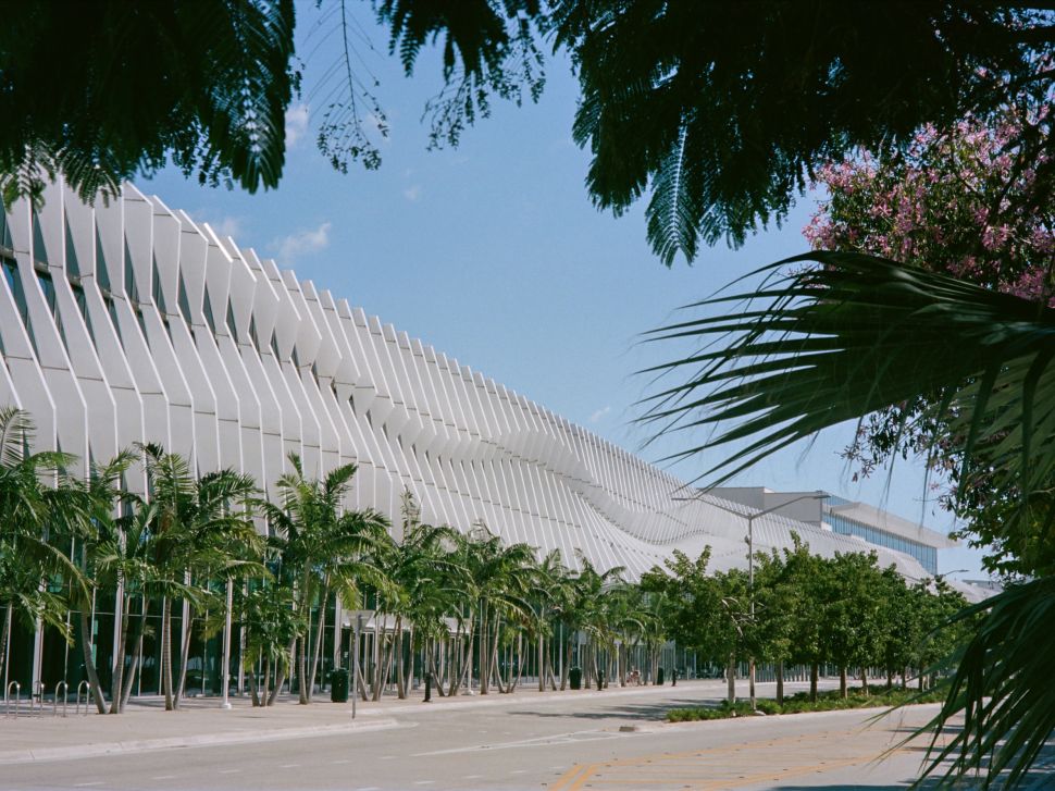 Miami Convention Center with palms